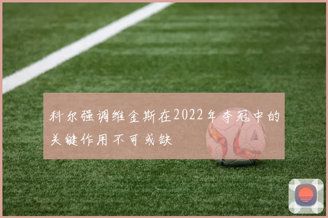 科尔强调维金斯在2022年夺冠中的关键作用不可或缺