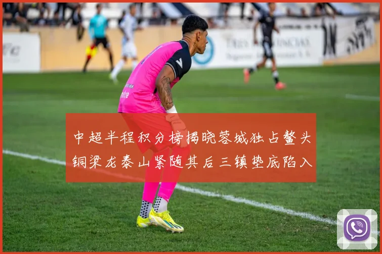 中超半程积分榜揭晓蓉城独占鳌头铜梁龙泰山紧随其后三镇垫底陷入困境